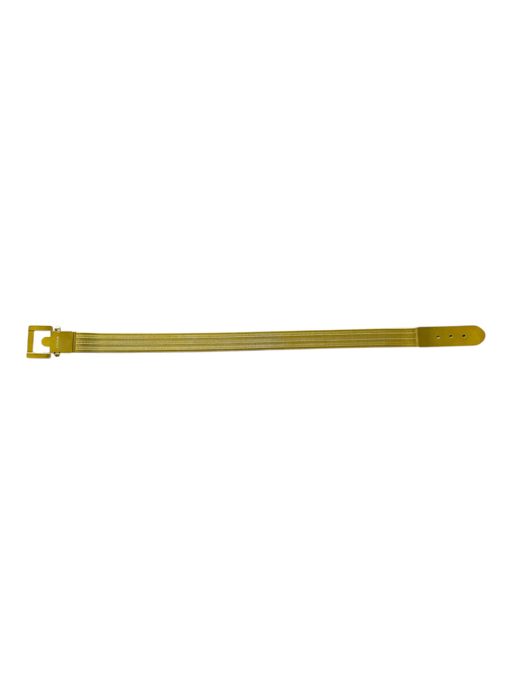 Gold Metal Modenist Mesh Belt