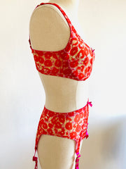 Agent Provocateur "Kit" Set 36C Bra / Sz 3 Brief Suspenders
